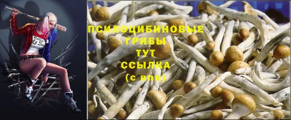 прущий лед Бородино