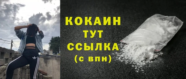 прущий лед Бородино