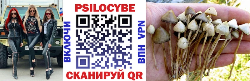 Псилоцибиновые грибы Magic Shrooms  Волжск 