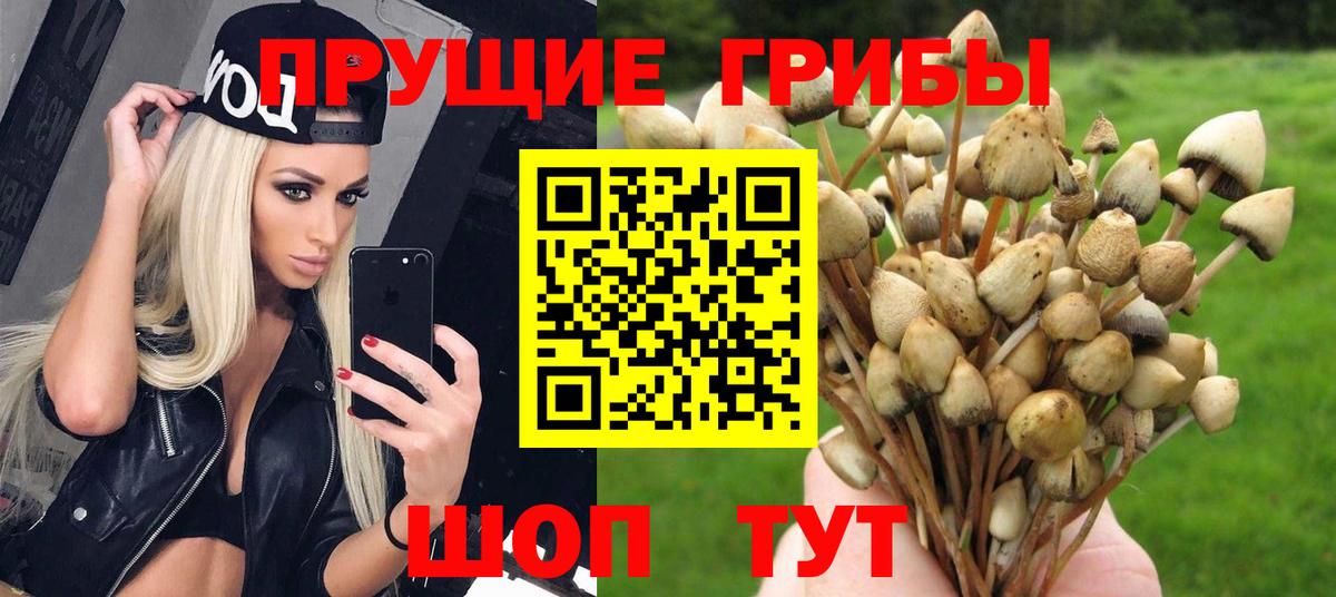 Галлюциногенные грибы MAGIC MUSHROOMS Волжск