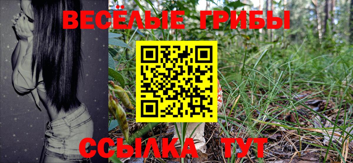 Галлюциногенные грибы Psilocybine cubensis  Псилоцибиновые грибы мухоморы  Вход с VPN  Волжск 